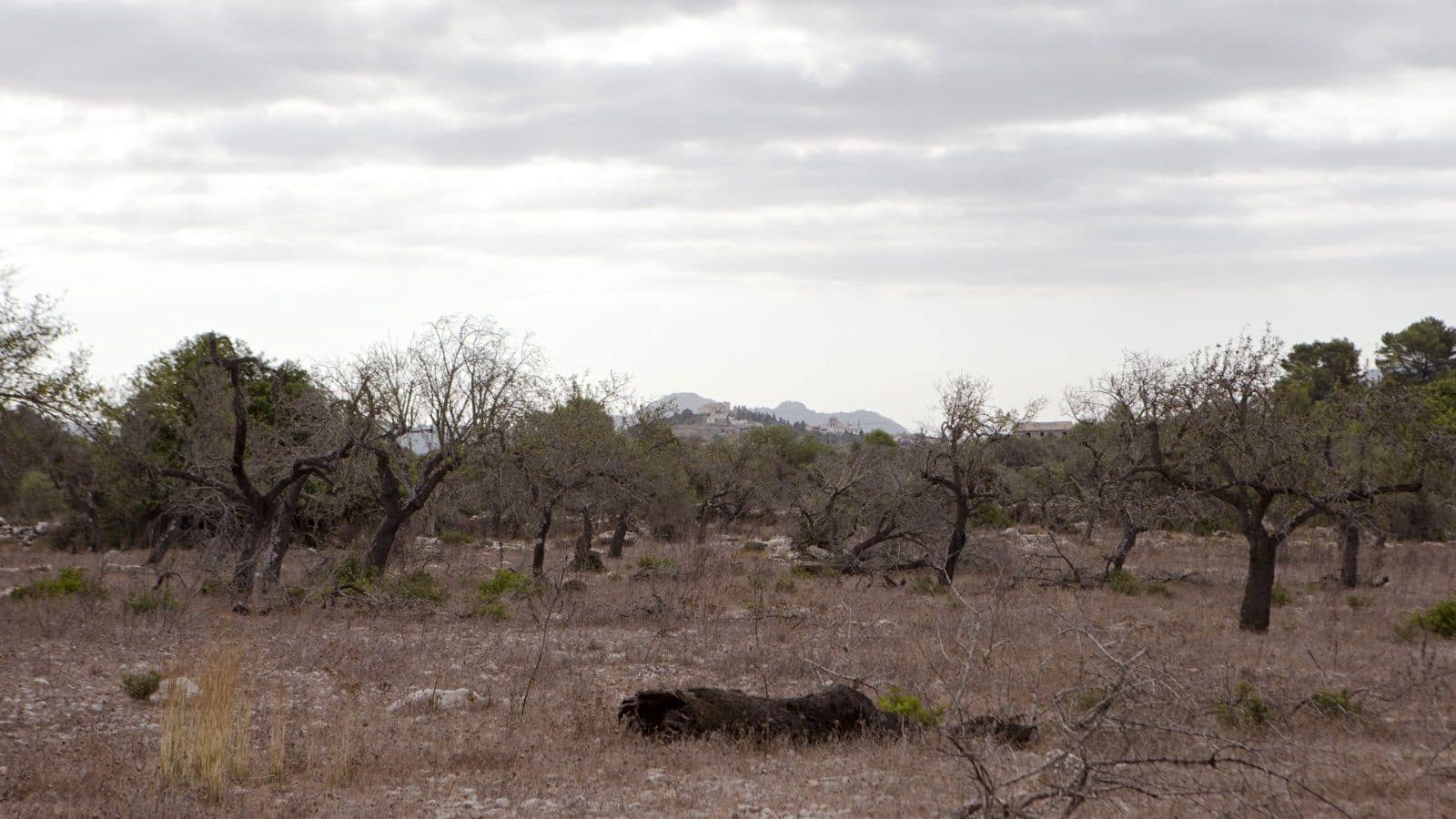 2 soverom Finca/Herregård til salgs i Arta - € 1 800 000 (Ref: 7450952)