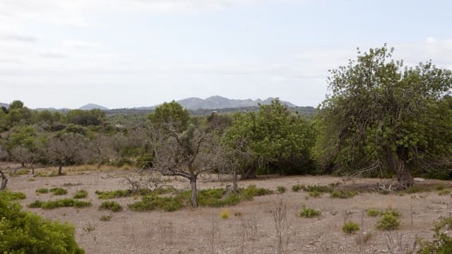 2 soverom Finca/Herregård til salgs i Artà - € 1 800 000 (Ref: 7450952)