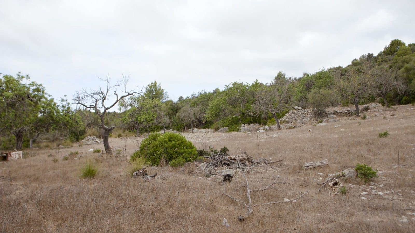 2 soverom Finca/Herregård til salgs i Arta - € 1 800 000 (Ref: 7450952)