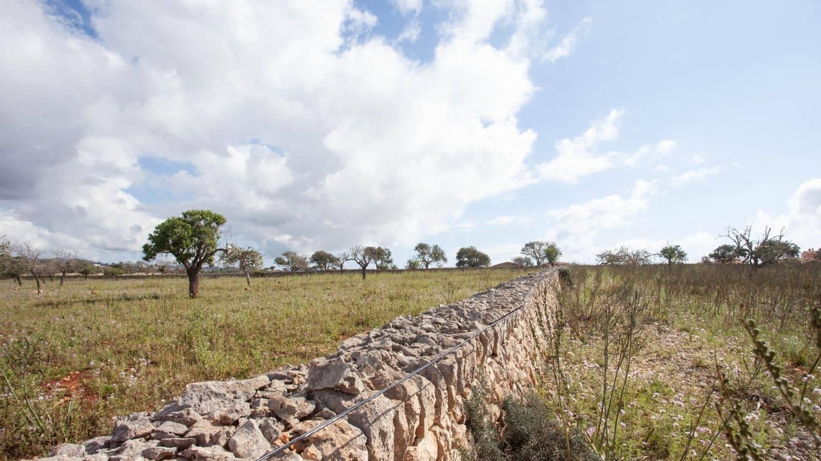 Finca/Landehus til salg i Cala Anguila med garage - € 1.750.000 (Ref: 7450954)