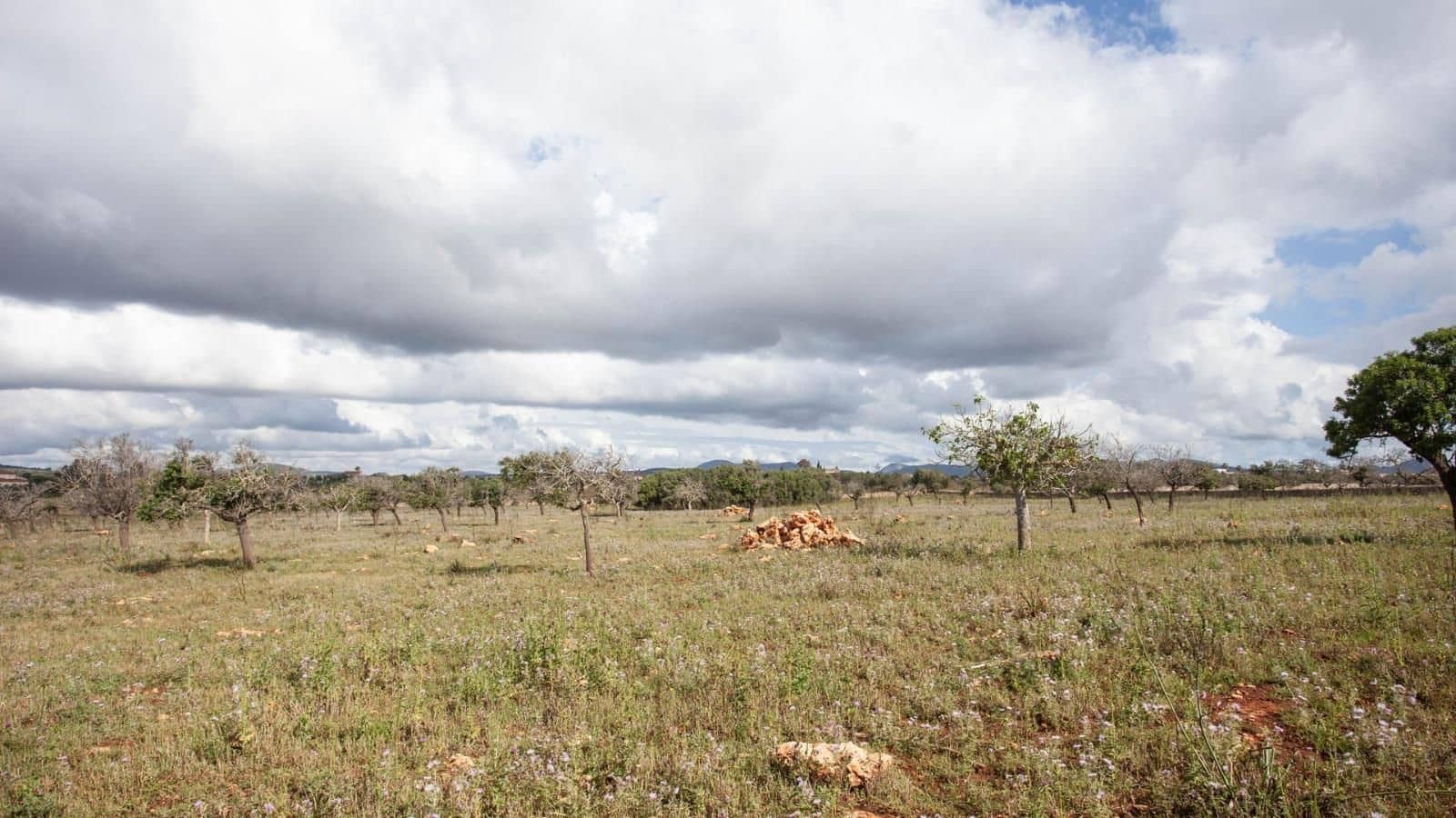 Finca/Landehus til salg i Cala Anguila med garage - € 1.750.000 (Ref: 7450954)