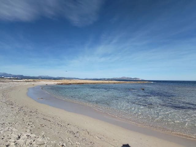 Building Plot for sale in Ca'n Picafort, Santa Margalida - € 250,000 (Ref: 7454864)