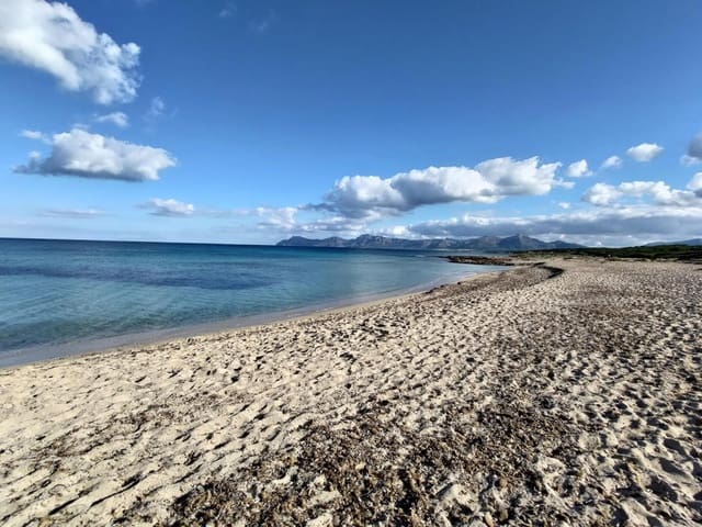 Building Plot for sale in Ca'n Picafort, Santa Margalida - € 250,000 (Ref: 7454864)