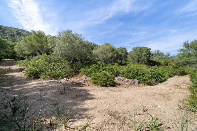 Undeveloped Land for sale in Alcúdia - € 750,000 (Ref: 7580692)