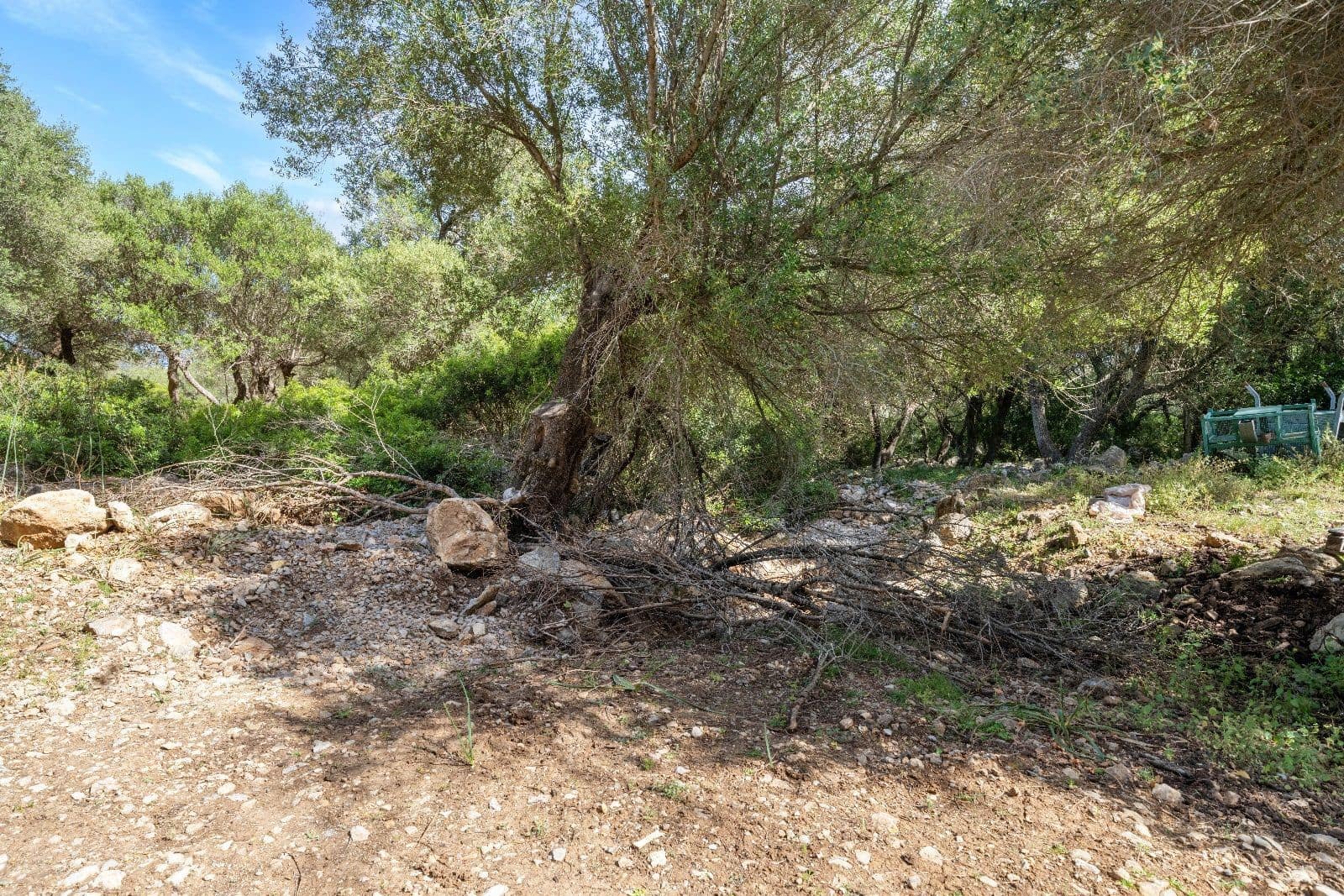 Grunde uden byggetilladelser til salg i Alcudia - € 750.000 (Ref: 7580692)