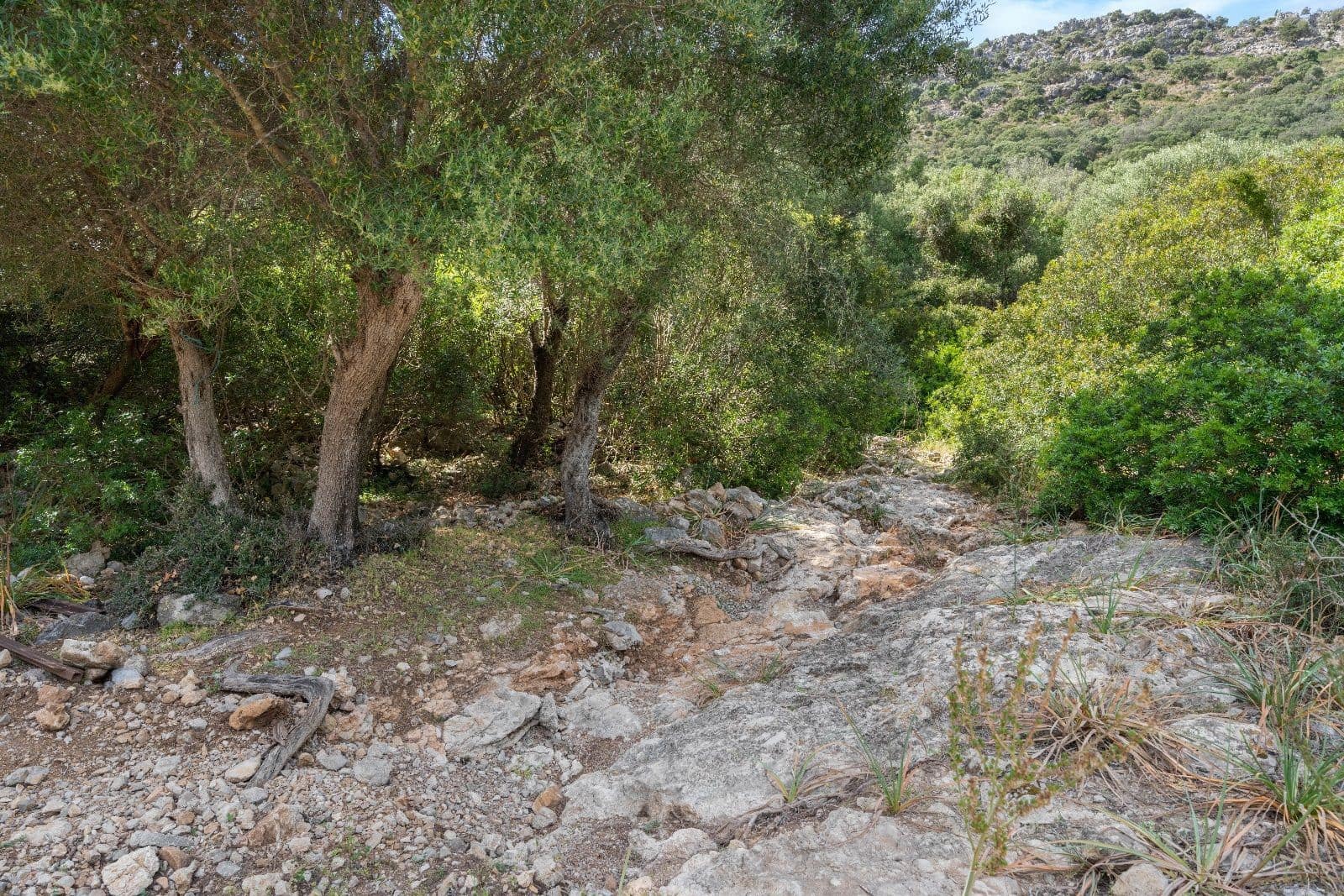 Grunde uden byggetilladelser til salg i Alcudia - € 750.000 (Ref: 7580692)