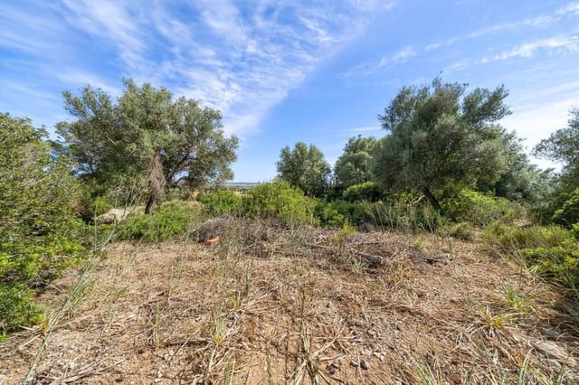 Undeveloped Land for sale in Alcúdia - € 750,000 (Ref: 7580692)