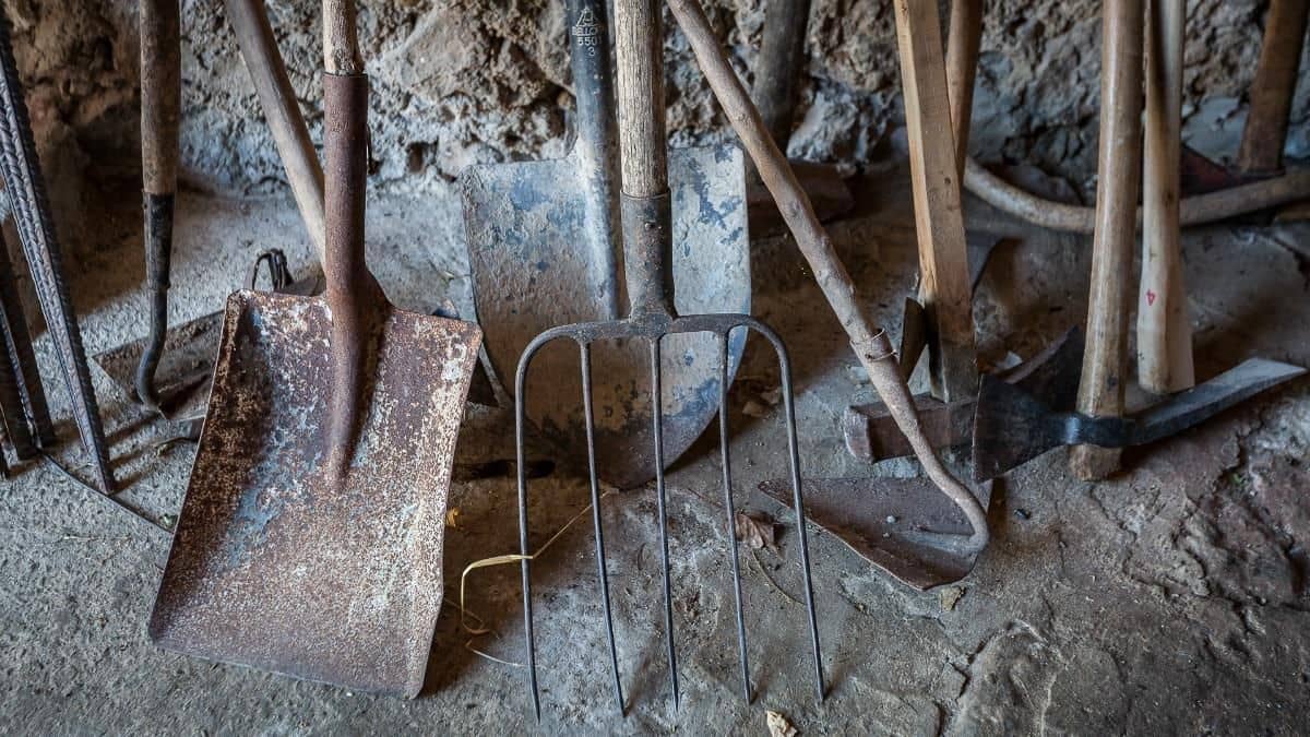 13 quarto Quinta/Casa Rural para venda em Escorca com garagem - 5 500 000 € (Ref: 7834181)