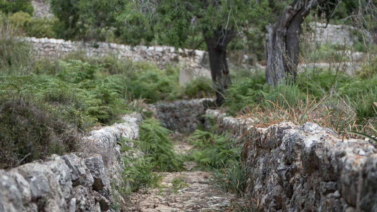 13 quarto Quinta/Casa Rural para venda em Escorca com garagem - 5 500 000 € (Ref: 7834181)