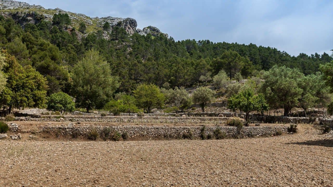 13 quarto Quinta/Casa Rural para venda em Escorca com garagem - 5 500 000 € (Ref: 7834181)