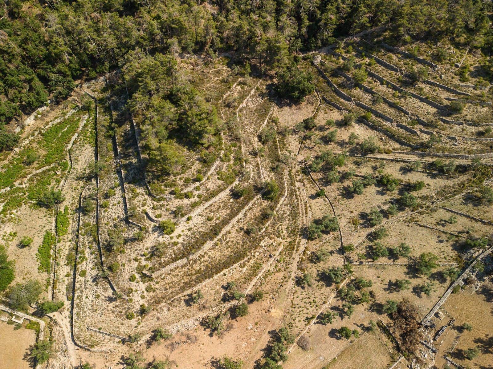 13 quarto Quinta/Casa Rural para venda em Escorca com garagem - 5 500 000 € (Ref: 7834181)