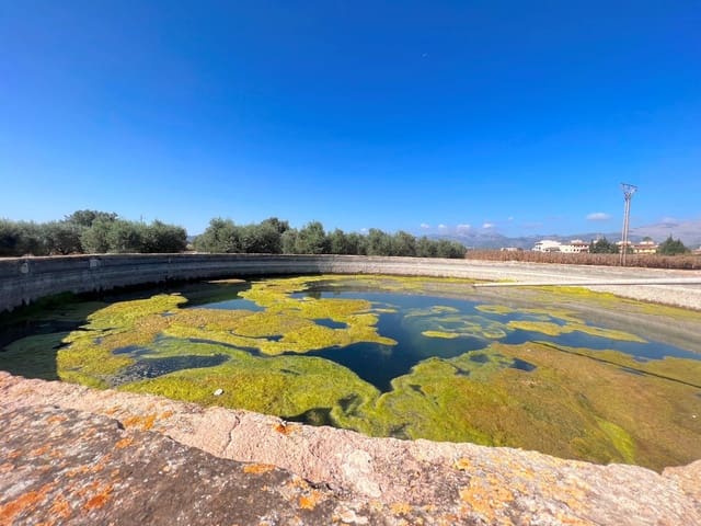 Ubebygd land til salgs i Sa Pobla - € 215 000 (Ref: 7858424)