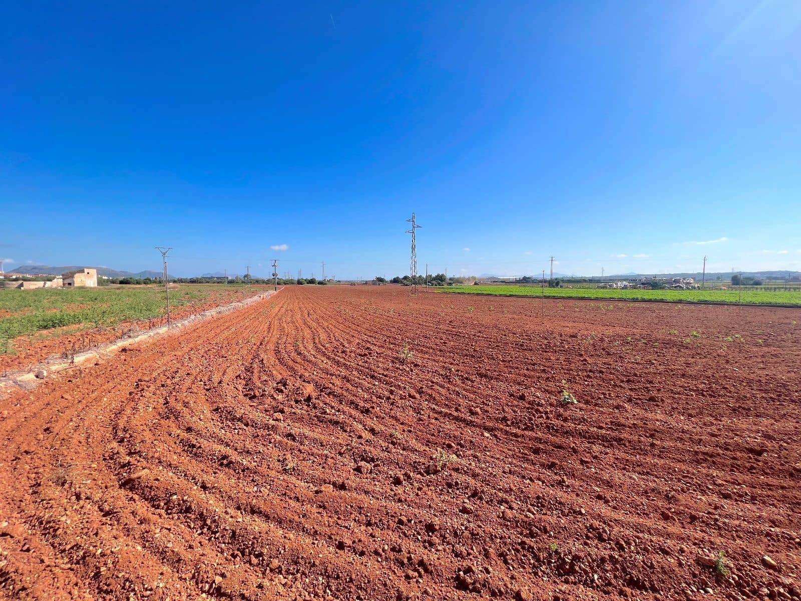 Grunde uden byggetilladelser til salg i Sa Pobla - € 215.000 (Ref: 7858424)