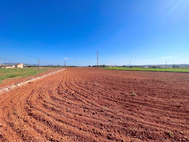 Ubebygd land til salgs i Sa Pobla - € 215 000 (Ref: 7858424)