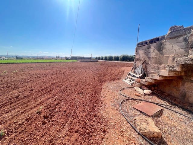 Ubebygd land til salgs i Sa Pobla - € 215 000 (Ref: 7858424)