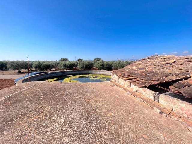 Ubebygd land til salgs i Sa Pobla - € 215 000 (Ref: 7858424)