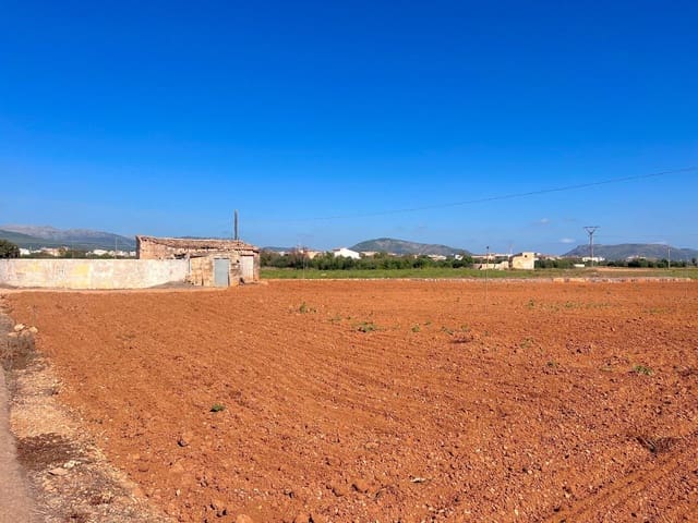 Ubebygd land til salgs i Sa Pobla - € 215 000 (Ref: 7858424)
