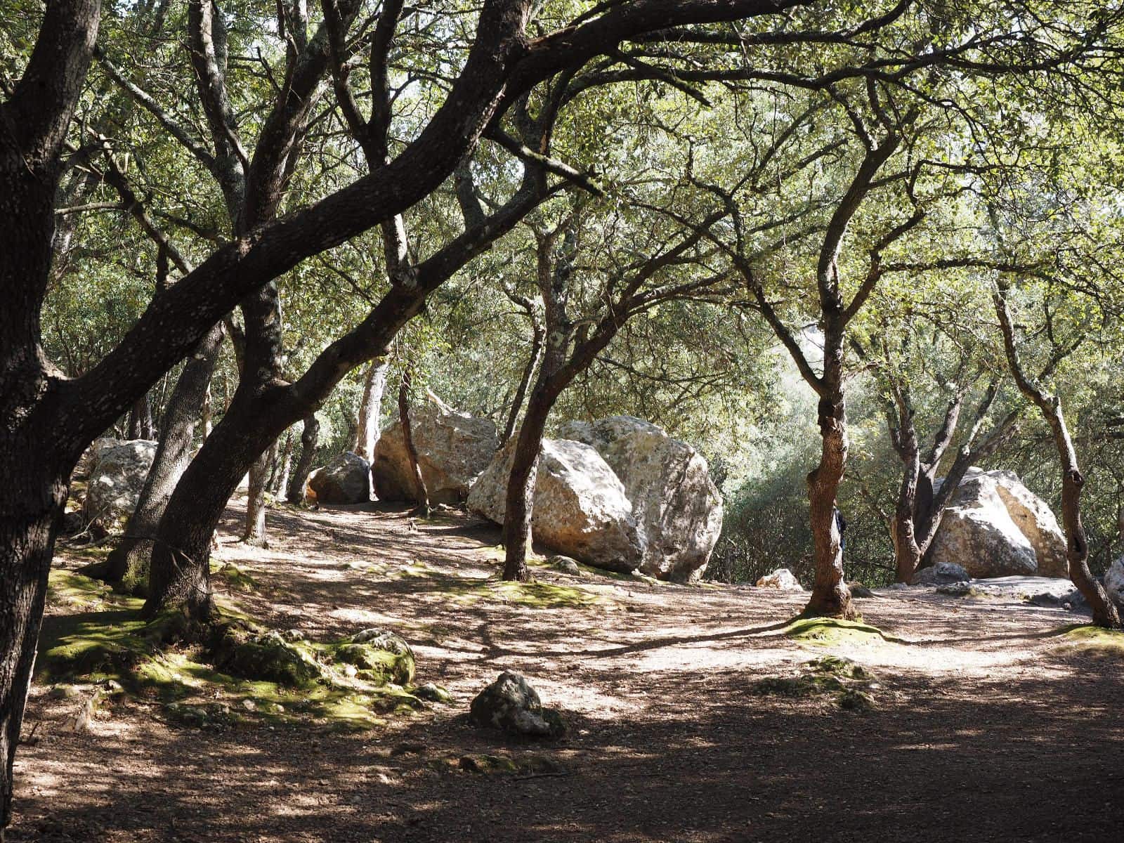 2 soverom Leilighet til salgs i Bunyola med svømmebasseng - € 455 000 (Ref: 8358199)