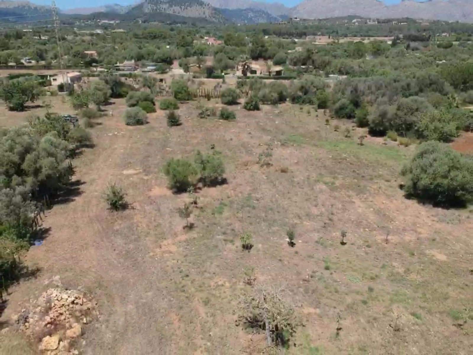 Mark till salu i Pollensa / Pollenca - 650 000 € (Ref: 8396021)