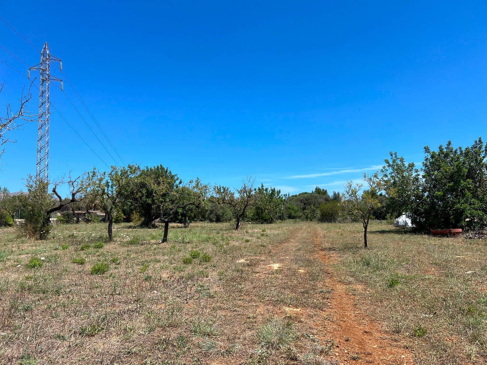 Mark till salu i Pollensa / Pollenca - 650 000 € (Ref: 8396021)