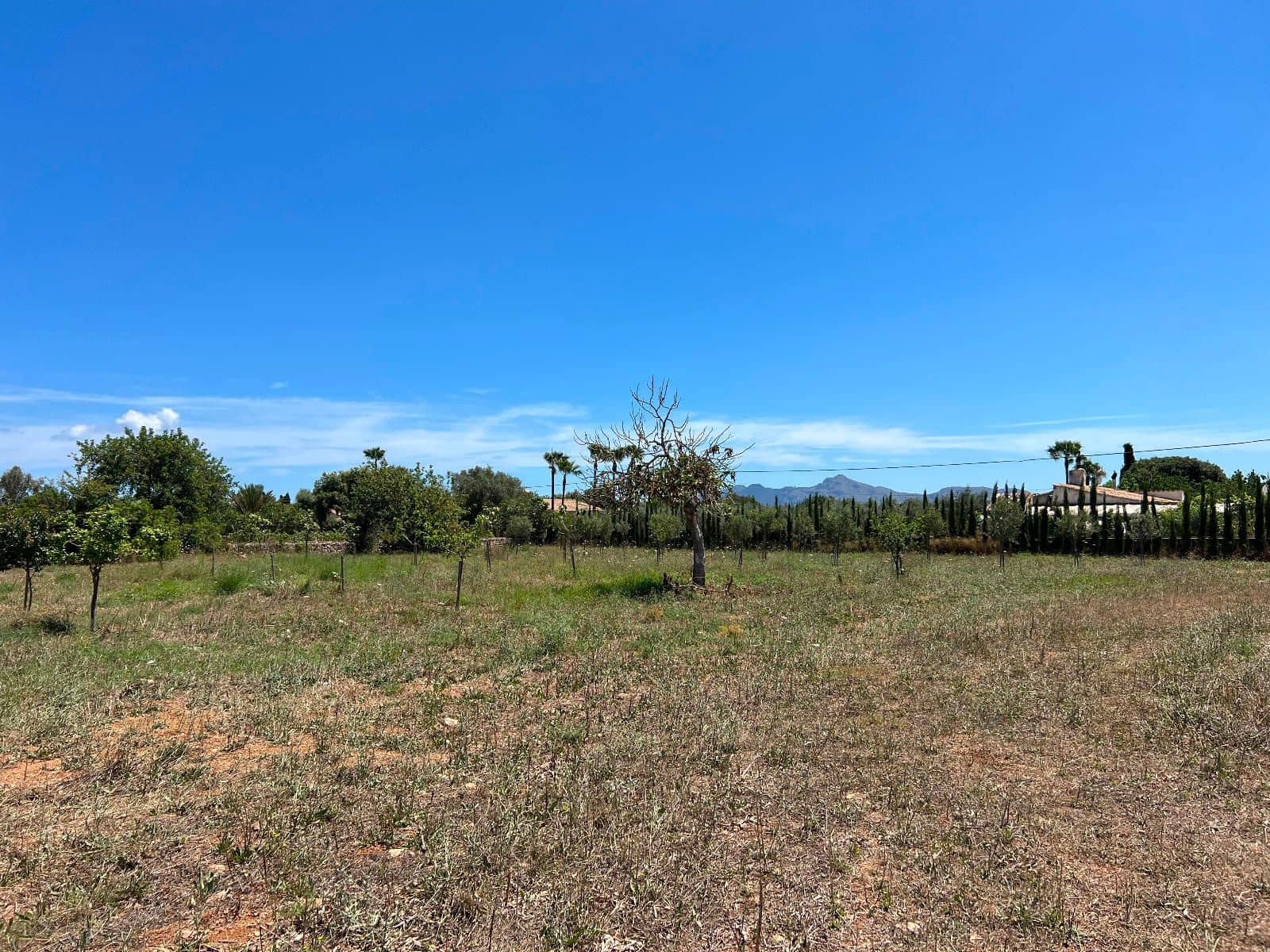 Mark till salu i Pollensa / Pollenca - 650 000 € (Ref: 8396021)