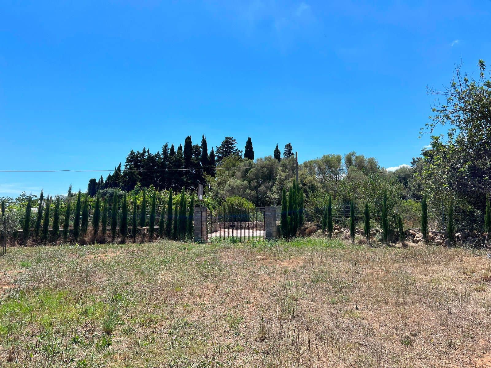 Mark till salu i Pollensa / Pollenca - 650 000 € (Ref: 8396021)