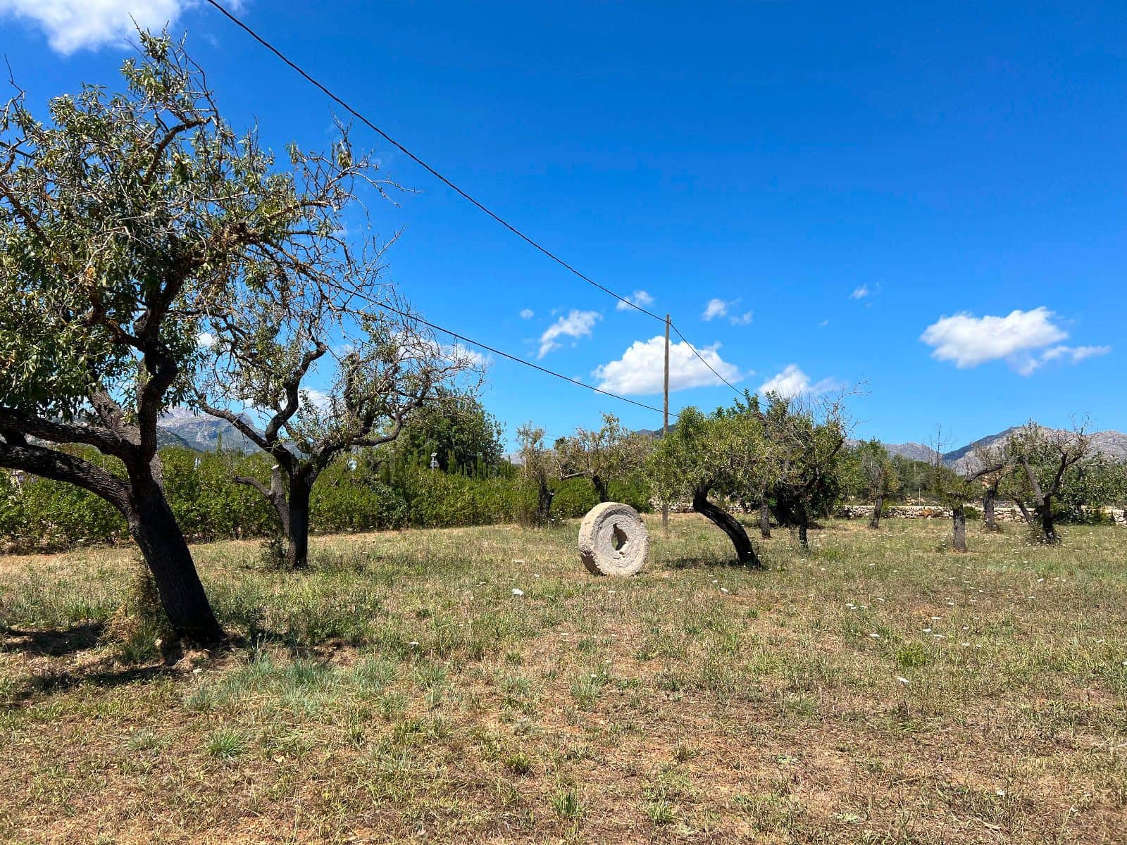 Mark till salu i Pollensa / Pollenca - 650 000 € (Ref: 8396021)