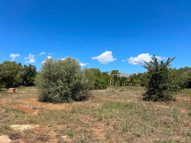 Undeveloped Land for sale in Pollensa / Pollença - € 650,000 (Ref: 8396021)