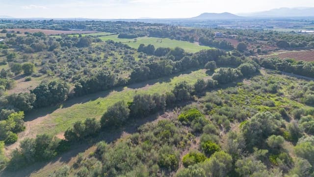 Undeveloped Land for sale in Muro - € 250,000 (Ref: 8562128)