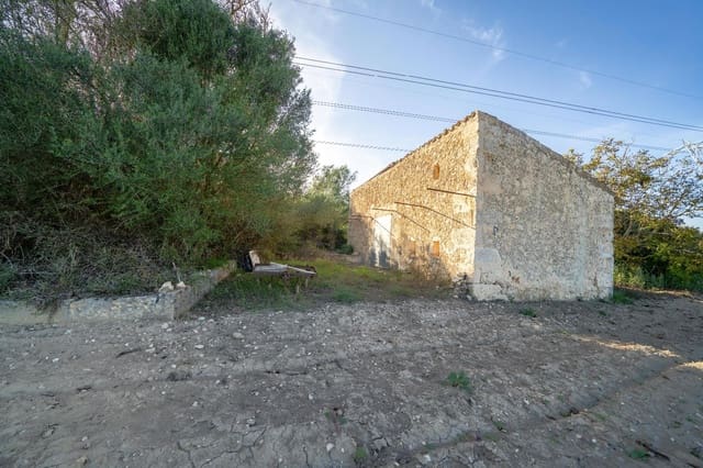 Undeveloped Land for sale in Muro - € 250,000 (Ref: 8562128)