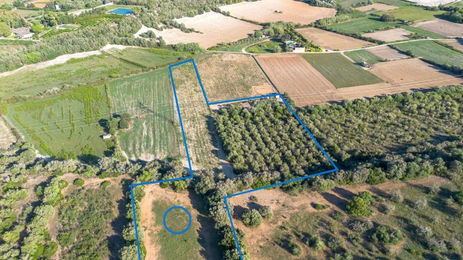 Mark till salu i Muro - 250 000 € (Ref: 8562128)