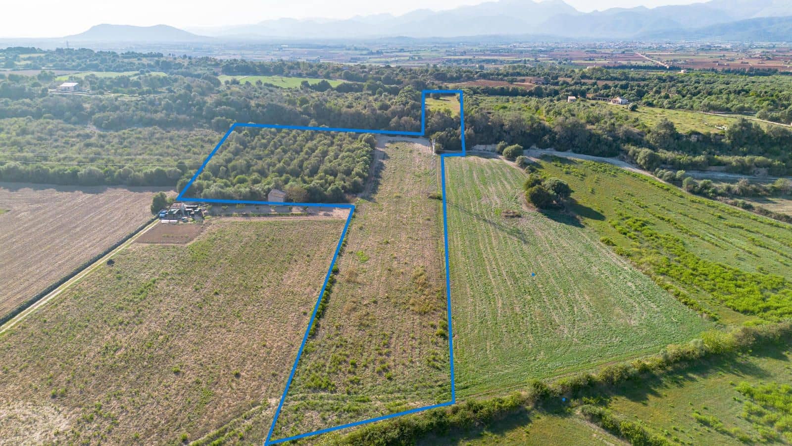 Mark till salu i Muro - 250 000 € (Ref: 8562128)