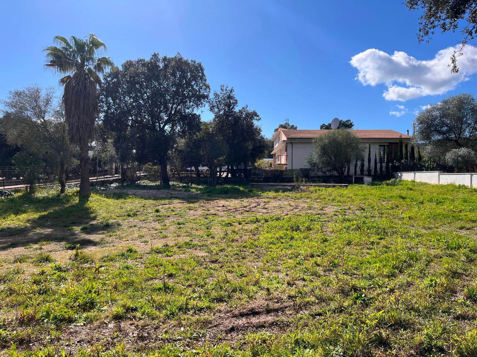 Byggegrund til salg i Sa Pobla - € 295.000 (Ref: 8853179)