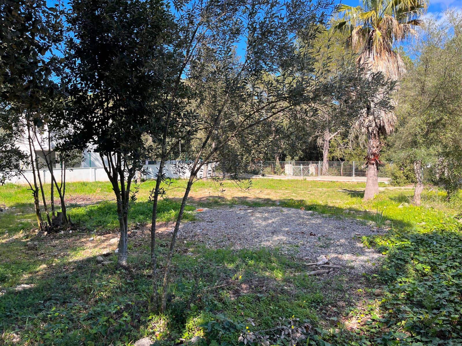 Byggegrund til salg i Sa Pobla - € 295.000 (Ref: 8853179)