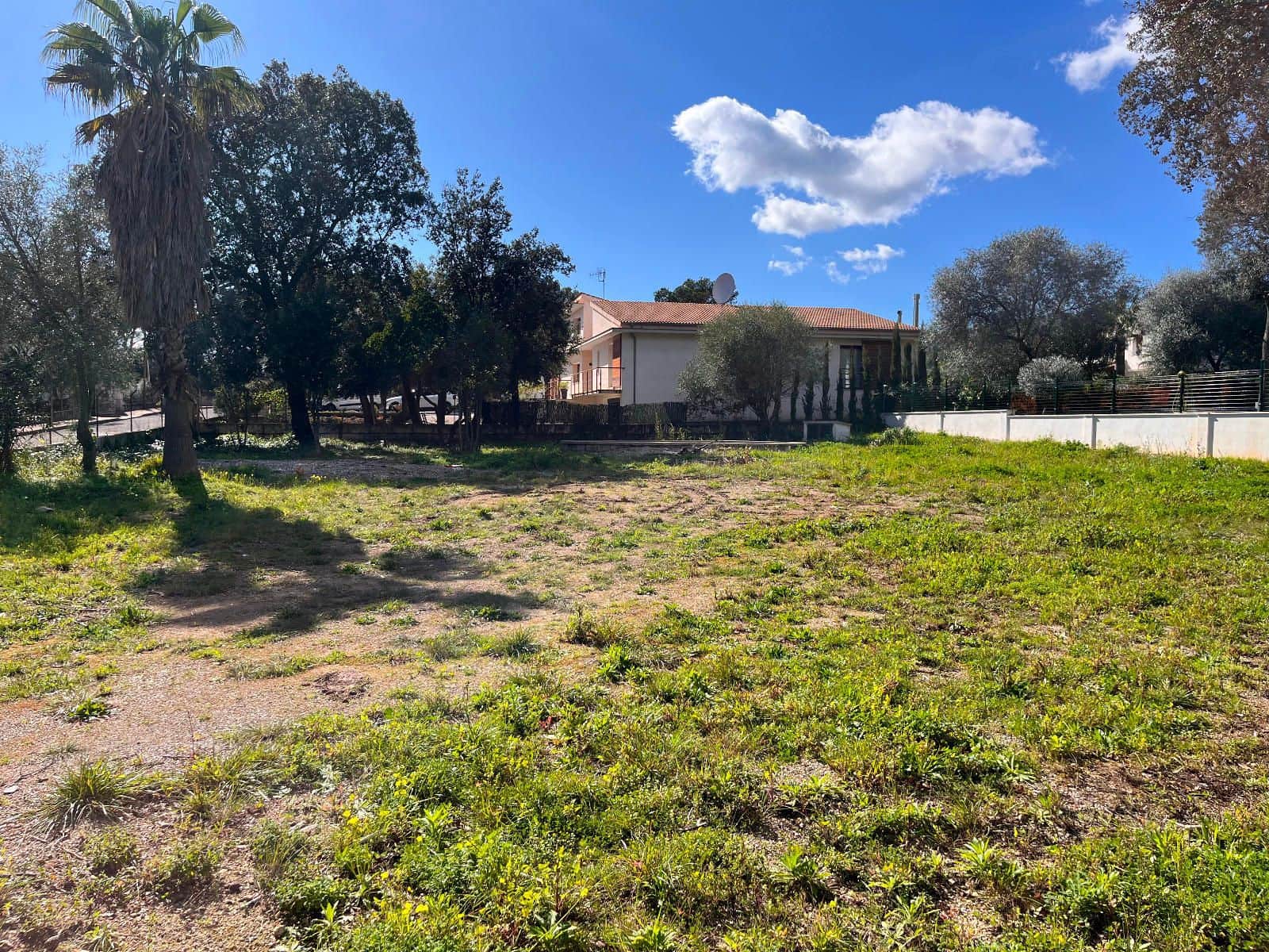 Byggegrund til salg i Sa Pobla - € 295.000 (Ref: 8853179)