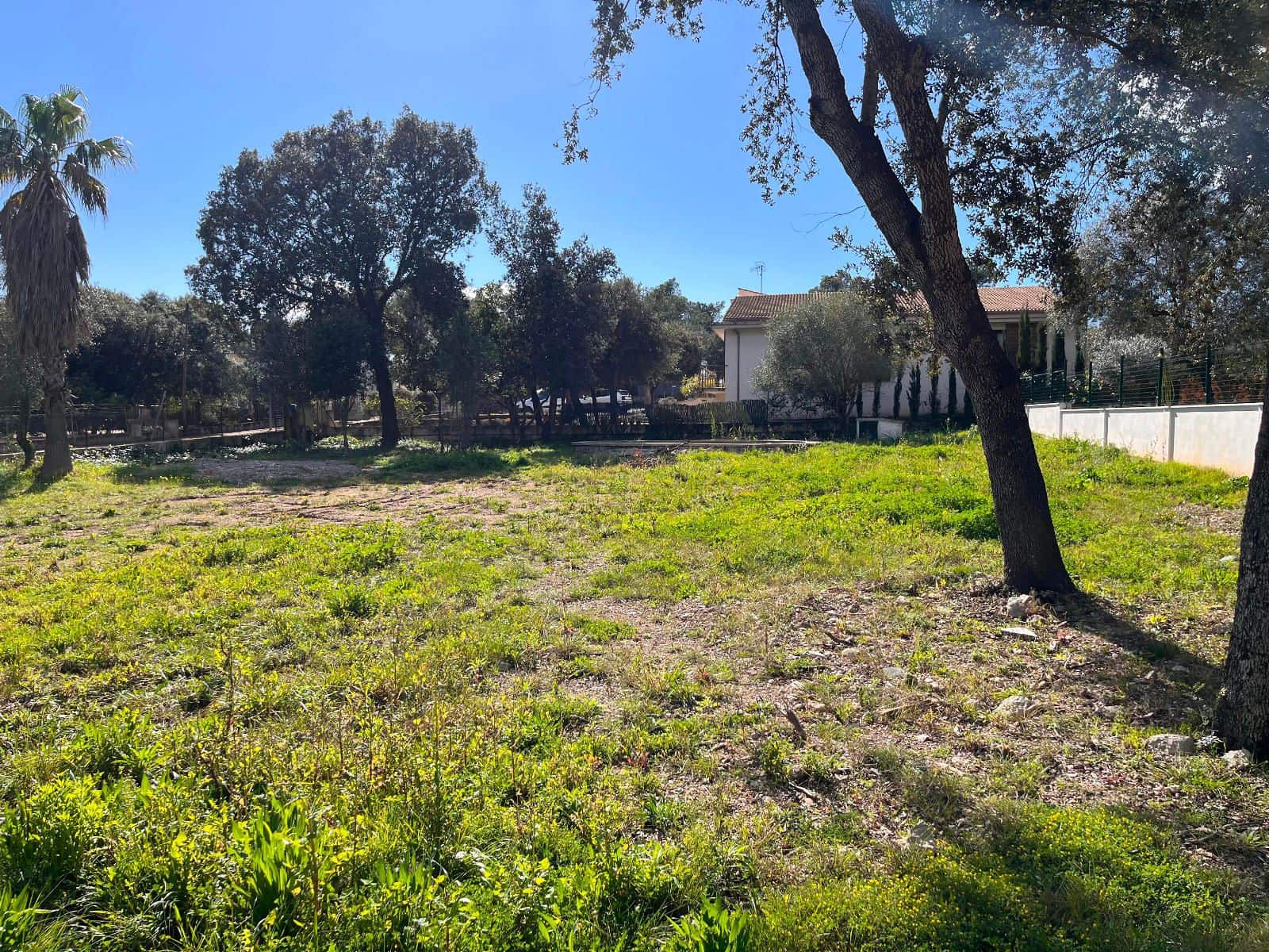 Byggegrund til salg i Sa Pobla - € 295.000 (Ref: 8853179)