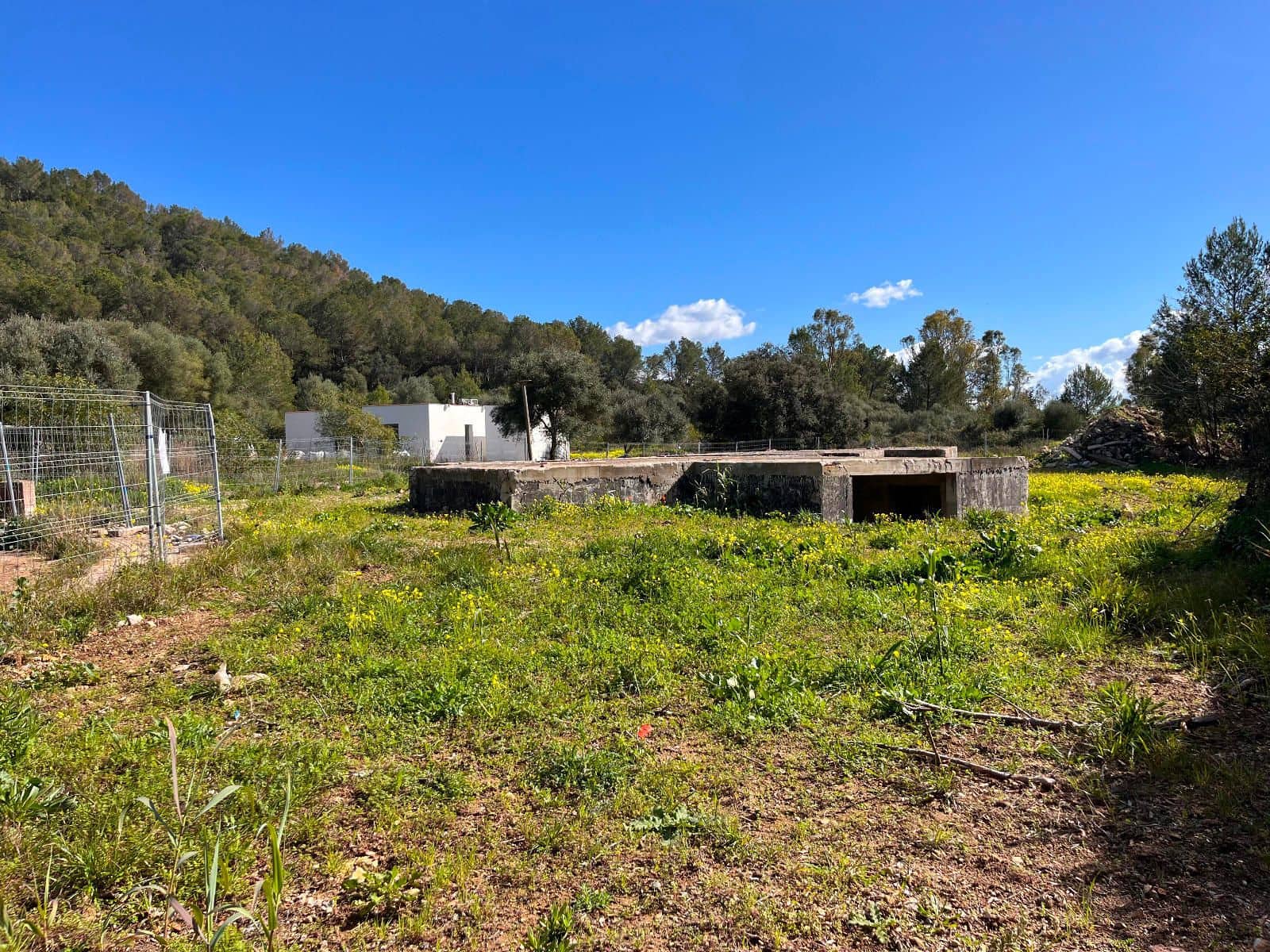 Byggegrund til salg i Sa Pobla - € 350.000 (Ref: 8856514)