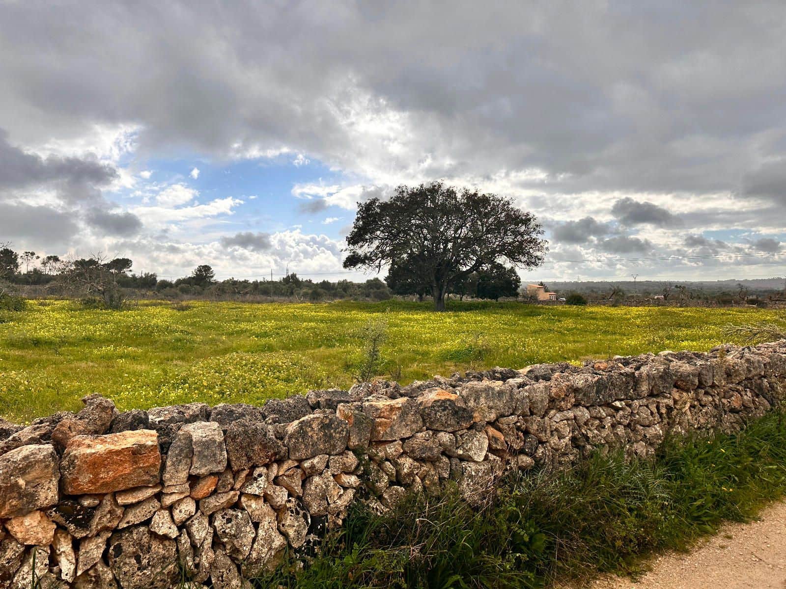 Grunde uden byggetilladelser til salg i Sineu - € 375.000 (Ref: 8857822)