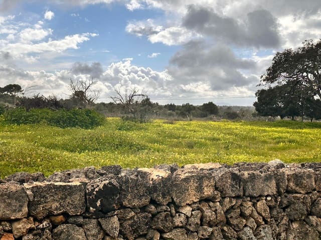 Undeveloped Land for sale in Sineu - € 375,000 (Ref: 8857822)