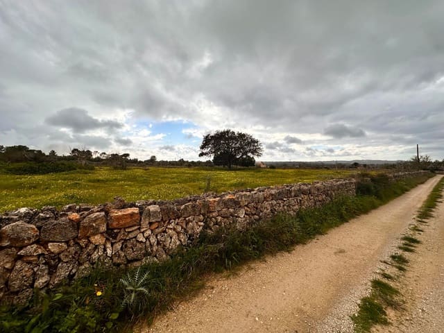 Undeveloped Land for sale in Sineu - € 375,000 (Ref: 8857822)