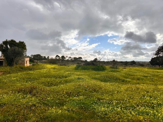 Undeveloped Land for sale in Sineu - € 375,000 (Ref: 8857822)