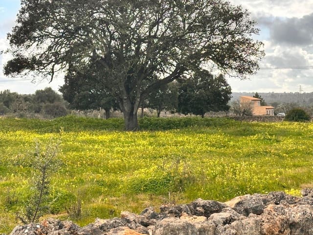 Undeveloped Land for sale in Sineu - € 375,000 (Ref: 8857822)