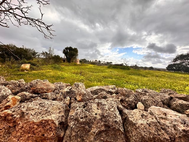 Undeveloped Land for sale in Sineu - € 375,000 (Ref: 8857822)