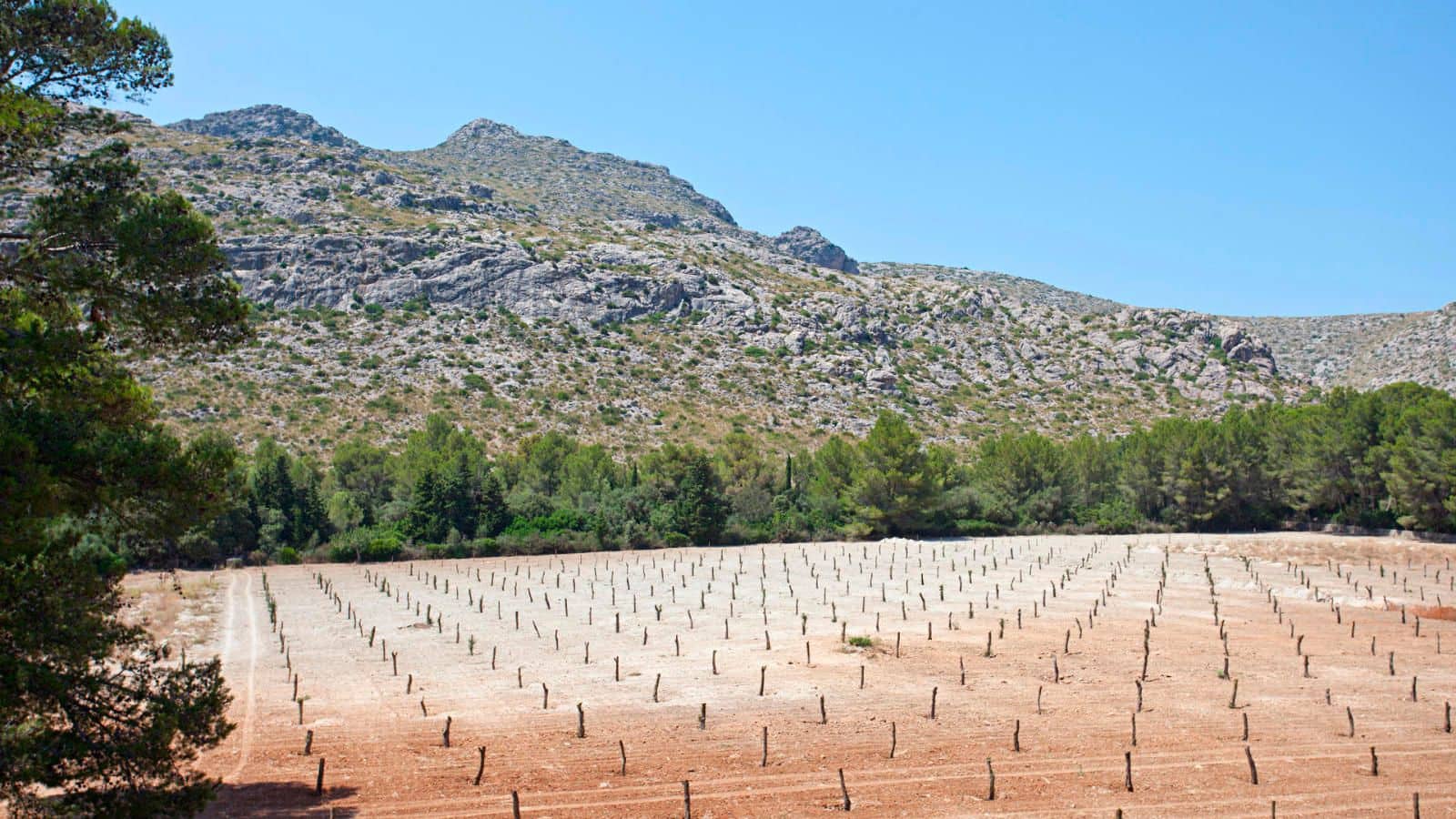 5 soveværelse Finca/Landehus til salg i Cala San Vicente / Cala Sant Vicenc med swimmingpool - € 7.900.000 (Ref: 9049939)