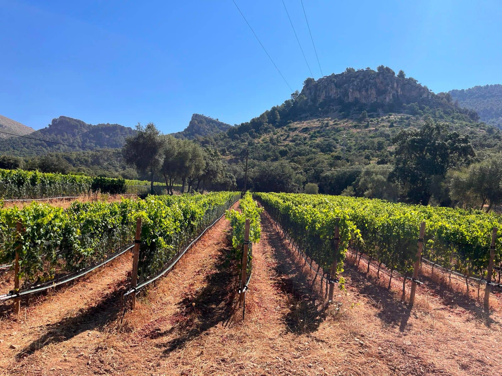 7 slaapkamer Huis te koop in Es Capdella met garage - € 950.000 (Ref: 9097598)