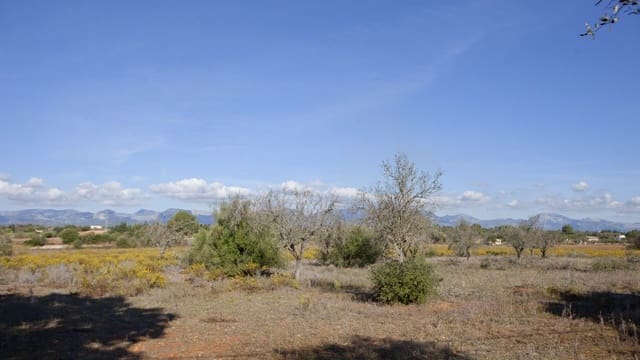 Undeveloped Land for sale in Sencelles - € 329,000 (Ref: 9258122)