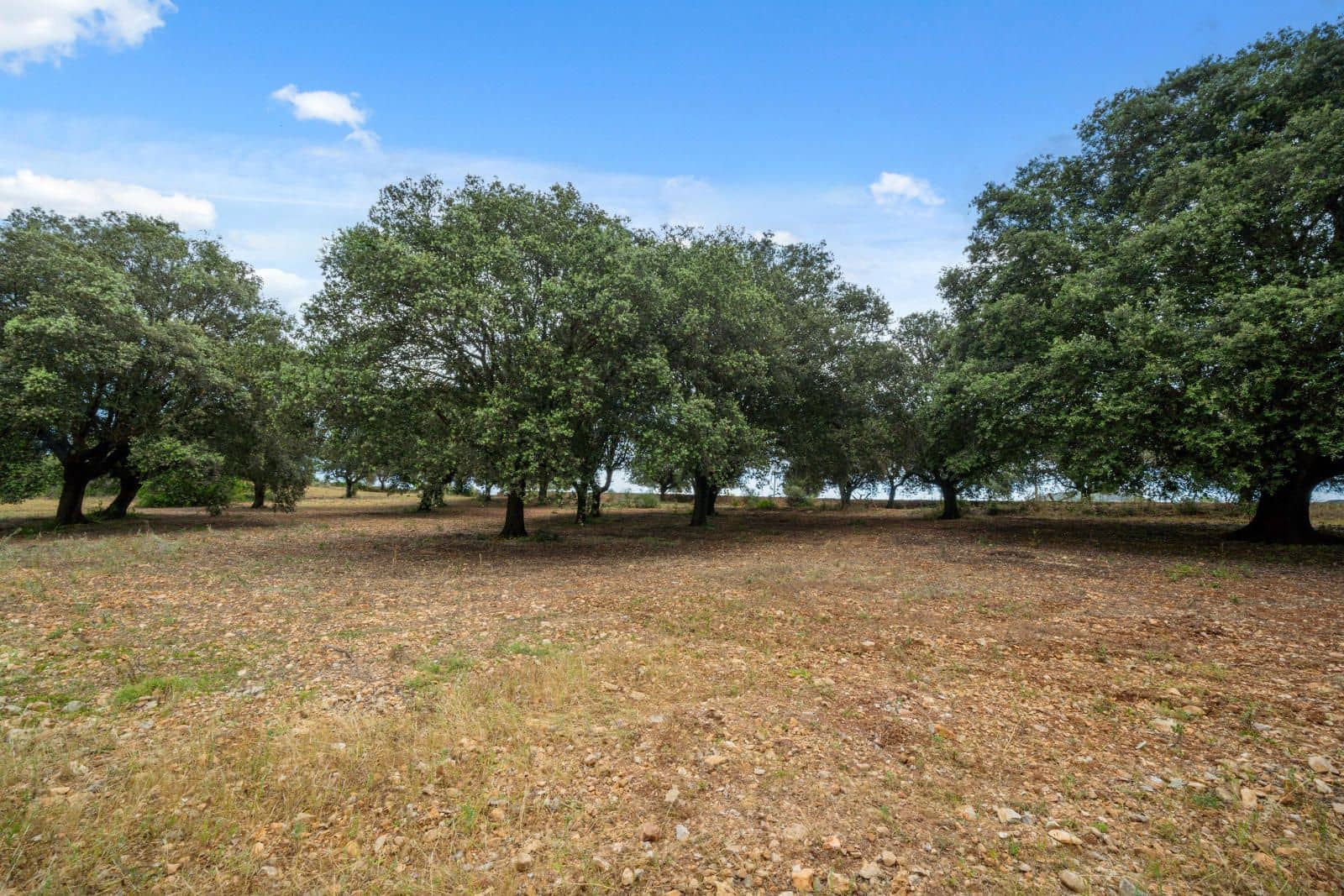 4 makuuhuone Maalaistalo myytävänä paikassa Manacor mukana 
autotalli - 3 190 000 € (Ref: 9343958)