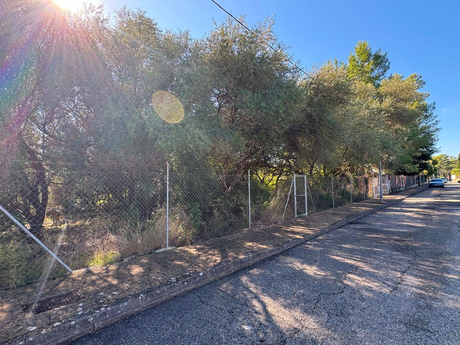 Byggetomt til salgs i Sa Pobla - € 375 000 (Ref: 9357872)