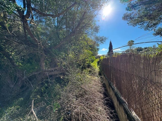 Building Plot for sale in Sa Pobla - € 375,000 (Ref: 9357872)