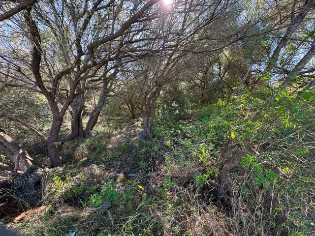 Building Plot for sale in Sa Pobla - € 375,000 (Ref: 9357872)